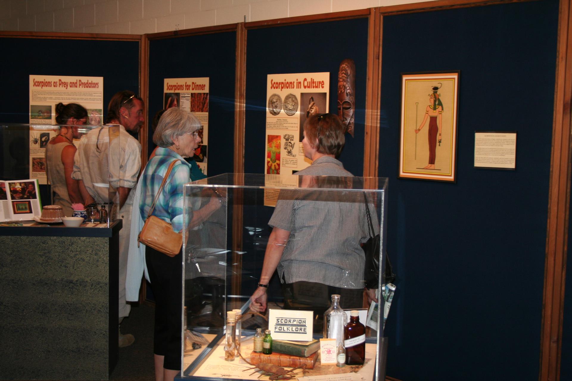 Scorpions exhibit