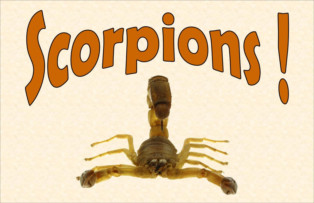 Scorpions exhibit sign
