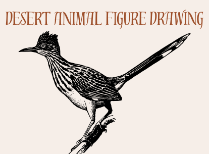 Desert Animal Figure Drawing