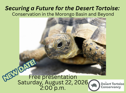 Securing a Future for the Desert Tortoise: Conservation in the Morongo Basin and Beyond