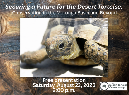 Securing a Future for the Desert Tortoise: Conservation in the Morongo Basin and Beyond