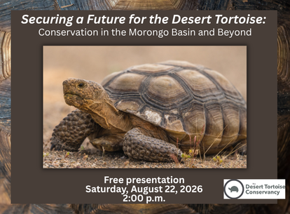 Securing a Future for the Desert Tortoise: Conservation in the Morongo Basin and Beyond