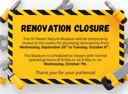 Renovation Closure
