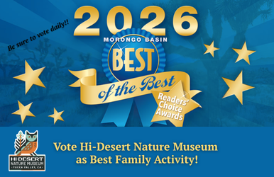 Hi-Desert Nature Museum nominated as Best Family Activity!